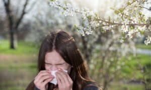 Mit Apps für Allergiker gut durch den Frühling